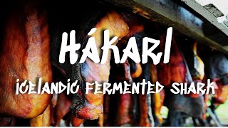 Hákarl  Icelands National Dish of Fermented Shark [upl. by Roy]