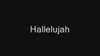 John Cale  Hallelujah Lyrics best version [upl. by Brewer]