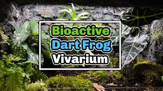 Bioactive Dart Frog Enclosure Setup  Nano Vivarium Challenge [upl. by Ailasor778]