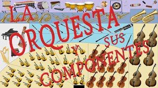 La orquesta y sus componentes [upl. by Cerallua206]