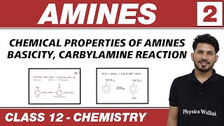 Amines 02  Chemical Properties of Amines  Basicity  Class 12 NCERT [upl. by Ahsoem]