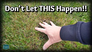 An EASY FIX For Your THINNING Lawn [upl. by Marcellina]