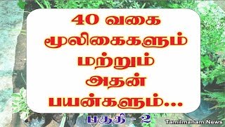 Herbs and their uses in tamil  40 herbal plants and their uses Part 2 [upl. by Gordon]