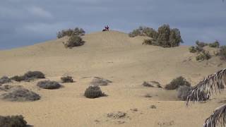 Maspalomas sand dunes 2  Gran Canaria Nov 2018 [upl. by Gosser]