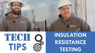 Insulation Resistance Testing Techniques [upl. by Aynotahs]