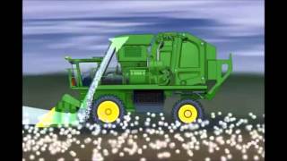 How Do We Pick Cotton  Version 2  Baler Pickers [upl. by Walcoff]