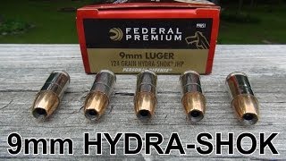 9mm 124 gr Federal HYDRASHOK Ammo Review [upl. by Bearce112]