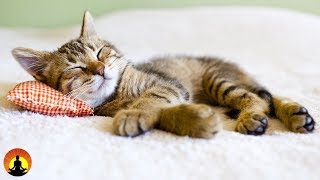 8 Hour Super Sleep Music Relaxing Music Meditation Music Sleeping Music Relaxation Music ☯2479 [upl. by Riess]