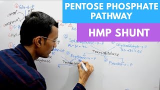 Pentose Phosphate Pathway  Hexose Monophosphate Shunt [upl. by Etnahc468]