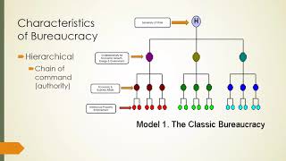 Understanding What Bureaucracy Is [upl. by Wills]