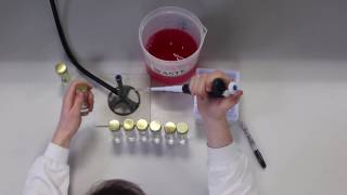 Serial Dilution [upl. by Barcus40]