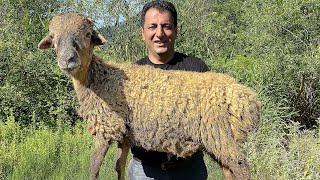 LAMB KEBAB RECIPE  SPICY LAMB SHISH KEBABS RECIPES  SPECIAL LULE KABOB BY WILDERNESS COOKING [upl. by Einor]