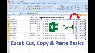 Excel HowTo Cut Copy and Paste Basics [upl. by Stubstad]