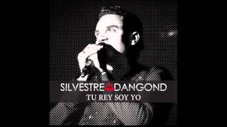 Tu Rey Soy Yo Silvestre Dangond amp Rolando Ochoa  Audio [upl. by Schaffel258]