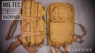 MilTec Molle Backpack 36L Review [upl. by Nnylyma594]