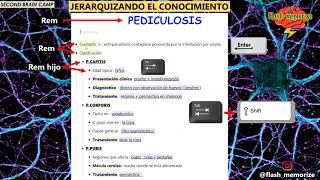 TUTORIAL REMNOTE desde 0 Jerarquización Flash cards y Templates  01 [upl. by Stephenie163]