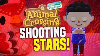 EVERYTHING YOU NEED TO KNOW Animal Crossing Shooting Stars Celeste Meteor Showers Star Fragments [upl. by Eninahpets]