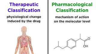 Categorizing Drugs Classes Names and Schedules [upl. by Idleman]