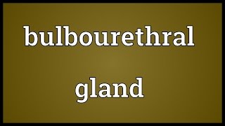 Bulbourethral gland Meaning [upl. by Geoffry]