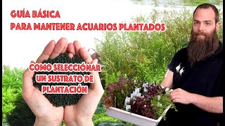 Guía básica para mantener acuarios 🌿plantados ☘️ SUSTRATOS NUTRITiVOS [upl. by Asfah]