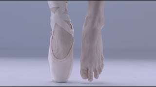 Ballet Anatomy Feet [upl. by Neiht]