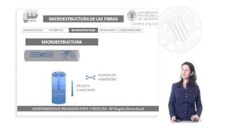 Microestructura de las Fibras Textiles  211  UPV [upl. by Gaskins]