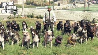 100 DOGS AS BODYGUARDS in GTA 5 GTA 5 Mods [upl. by Ttoile235]