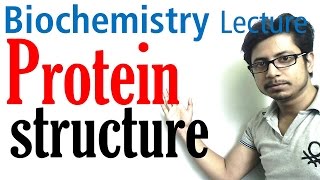 Protein structure  primary secondary tertiary and quaternary structure of protein [upl. by Eelinnej75]