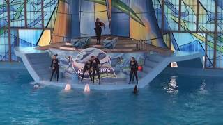 SeaWorld San Antonio Ocean Discovery Dolphins amp Beluga Whales show [upl. by Akeenahs]