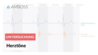 Physiologische Herztöne  AMBOSS  Video [upl. by Amena]