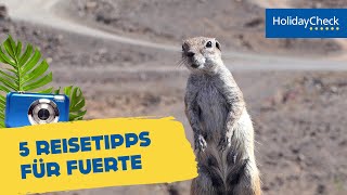 Fuerteventura 5 Reisetipps  HOLIDAYCHECK [upl. by Karlen]