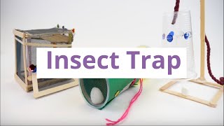 Build Your Own Insect Trap [upl. by Beverly]