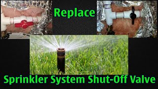 Replace Sprinkler System Shutoff Valve [upl. by Naivat254]