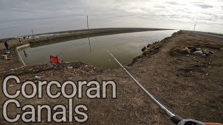 Winter Crappie fishing  Corcoran Canal [upl. by Eraste]