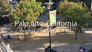 Finlandia Flash Mob  Palo Alto California [upl. by Buckler272]