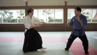 jujitsu vs aikido [upl. by Drhacir]