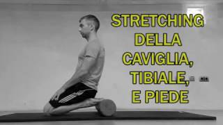 Stretching Parte 1 Caviglia Tibiale e Piede [upl. by Eeresid335]