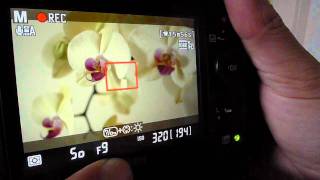 Nikon D7000 Movie Mode Settings Explained [upl. by Ahsieuqal]