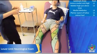 Mayo Medics Lower Limb Neurological Exam [upl. by Otreblig411]