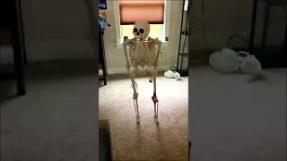 Ground Breaking Skeleton Halloween Decoration with LED Lights and Sound  Giant Size [upl. by Mcripley]