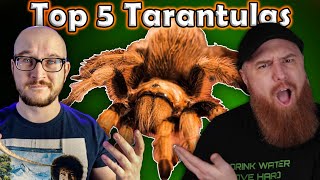 Top 5 BEST Tarantulas  Featuring The Tarantula Collective [upl. by Nahtam216]