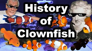 History of Designer Clownfish  Fish Tank History [upl. by Atat]