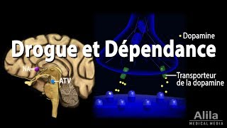 Mécanisme de Dépendance dans le Cerveau Animation [upl. by Nostaw]