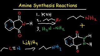 Amine Synthesis Reactions Organic Chemistry  Summary amp Practice Problems [upl. by Siegel]