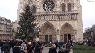 All bells ringing at Notre Dame Cathedral in Paris [upl. by Norah360]