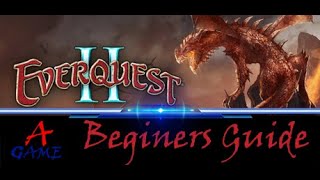 Everquest 2 Beginners Guide [upl. by Aidnic]