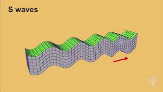 Seismic waves earthquake [upl. by Eecak]