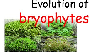 Plant evolution  bryophytes evolution [upl. by Dnomayd]