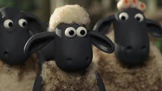 Full Episodes 1924  Shaun the Sheep Season 4 [upl. by Aseela]