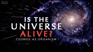 The Living Universe  Documentary about Consciousness and Reality  Waking Cosmos [upl. by Samuelson]